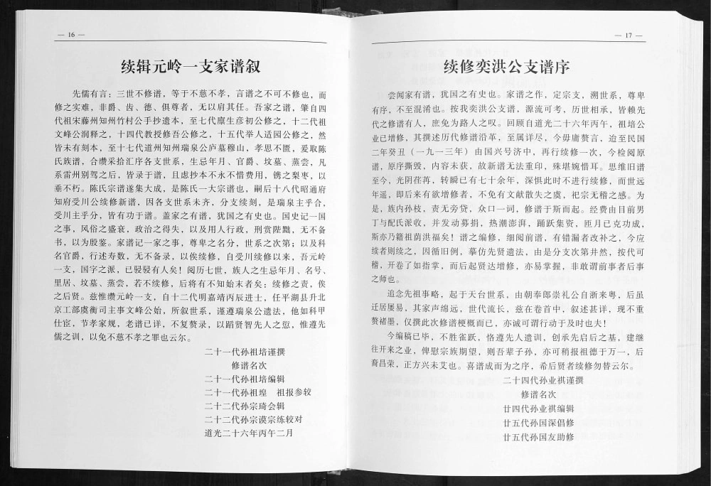 图片[1]-广西玉林陈氏家谱元岭公支电子版PDF下载-中华家谱网