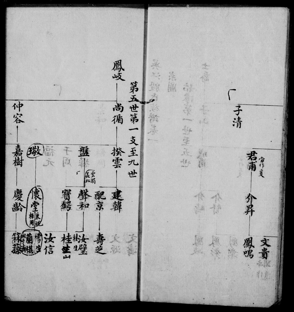 图片[2]-江苏苏州吴江殷氏族谱电子版PDF下载-中华家谱网