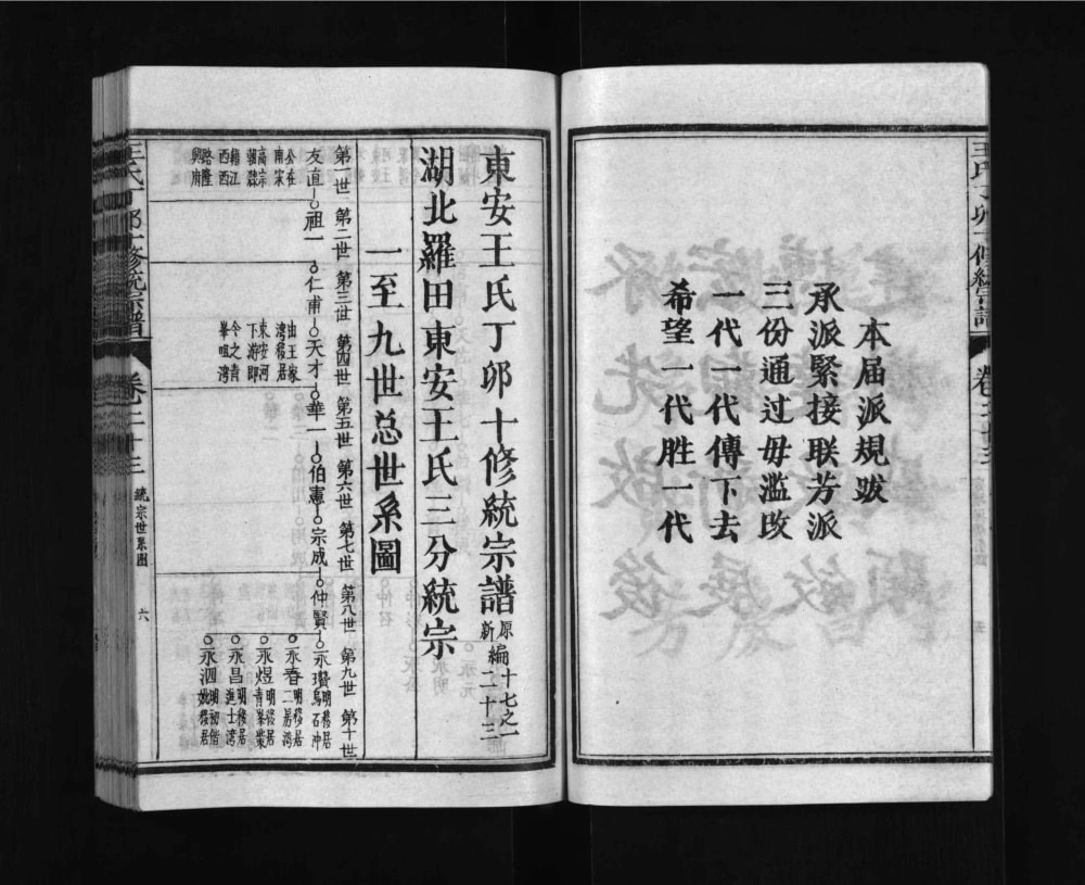 图片[6]-湖北黄冈罗田县东安王氏丁卯十修统宗谱电子版PDF下载-中华家谱网