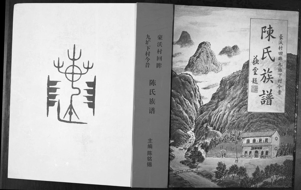 图片[1]-广西北海合浦县豪沃村回眸九塘下村今昔陈氏族谱电子版PDF下载-中华家谱网