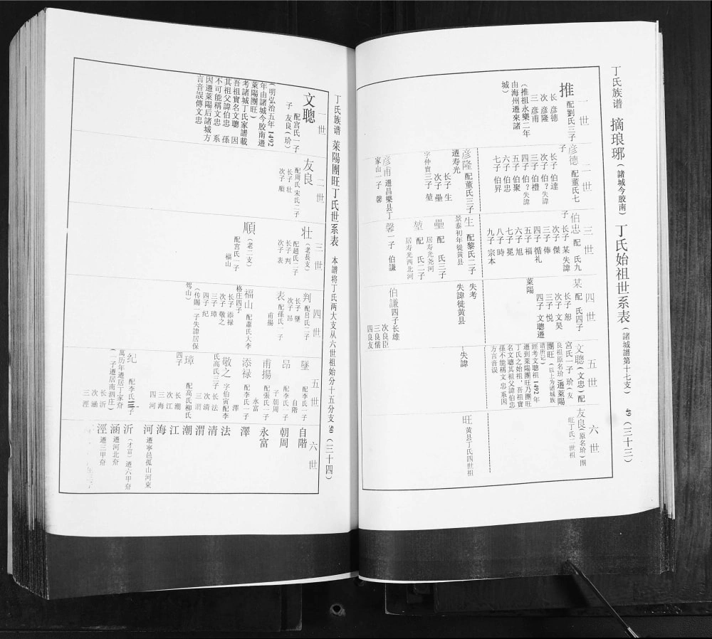 图片[5]-山东莱阳团旺丁氏族谱电子版PDF下载-中华家谱网