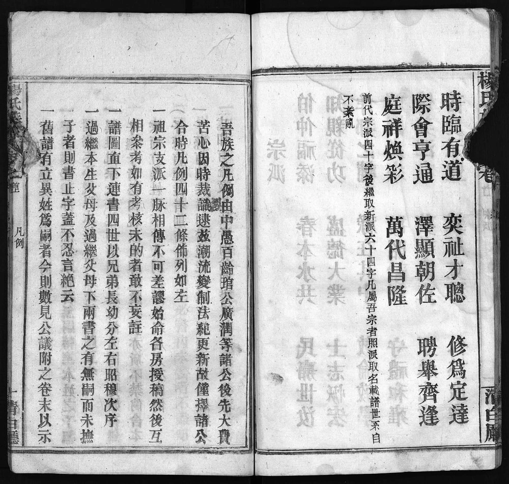 图片[4]-湖北麻城杨氏族谱（青白厅）电子版PDF下载-中华家谱网