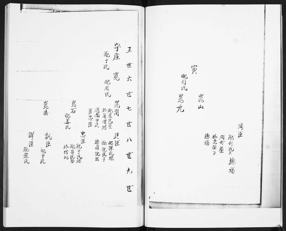 图片[8]-山东日照东港区高旺庄胡氏族谱电子版PDF下载-中华家谱网