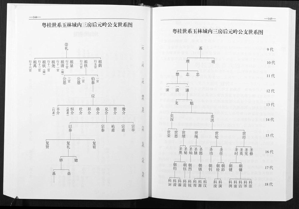 图片[5]-广西玉林陈氏家谱元岭公支电子版PDF下载-中华家谱网