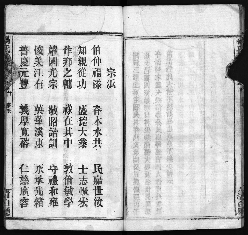 图片[3]-湖北麻城杨氏族谱（青白厅）电子版PDF下载-中华家谱网