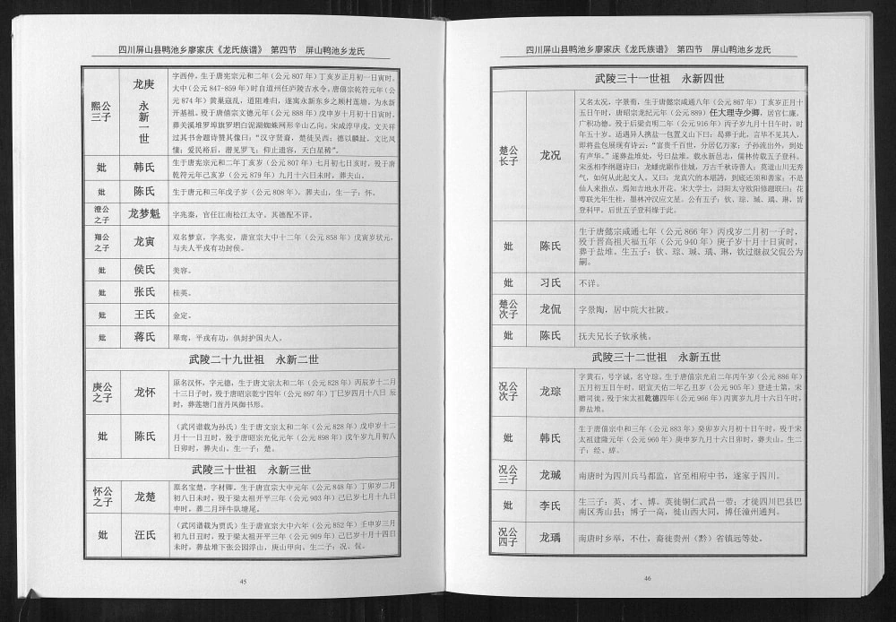 图片[3]-四川宜宾屏山县龙氏族谱电子版PDF下载-中华家谱网