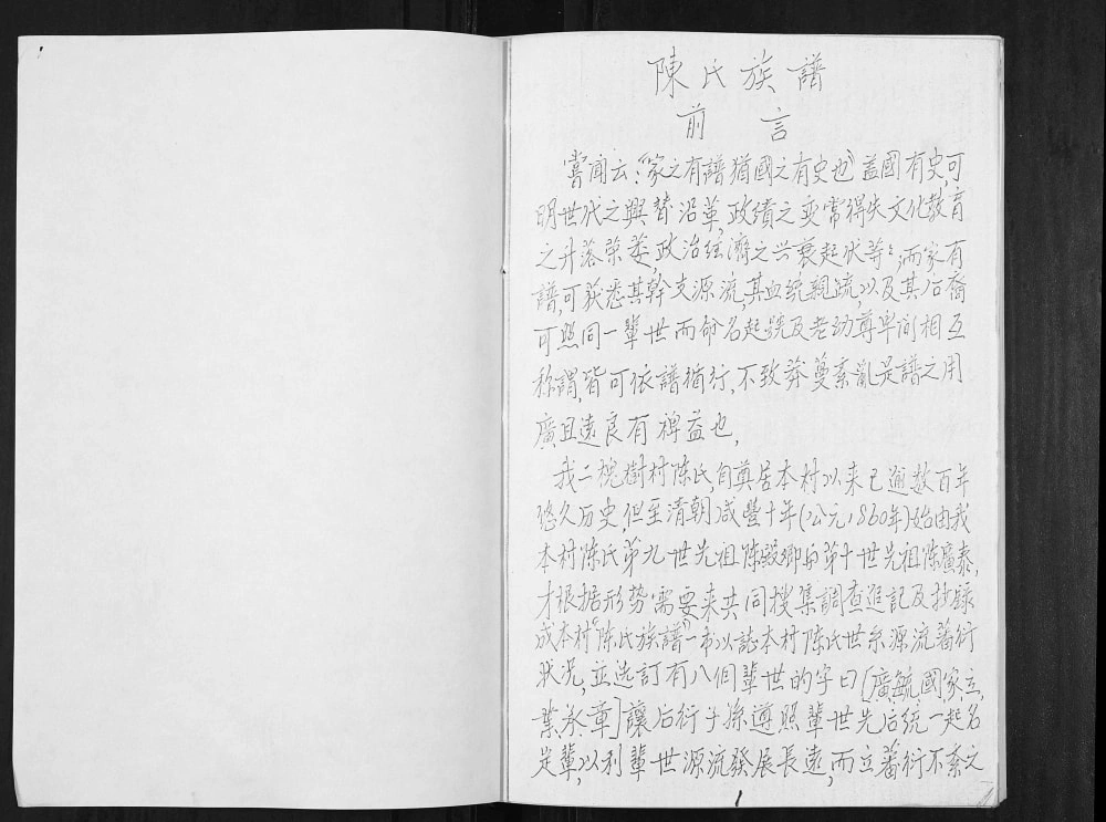 图片[2]-山东邹平好生乡二槐树村陈氏族谱电子版PDF下载-中华家谱网