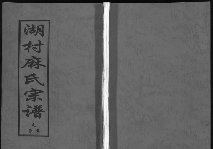 浙江东阳湖村麻氏宗谱-中华家谱网