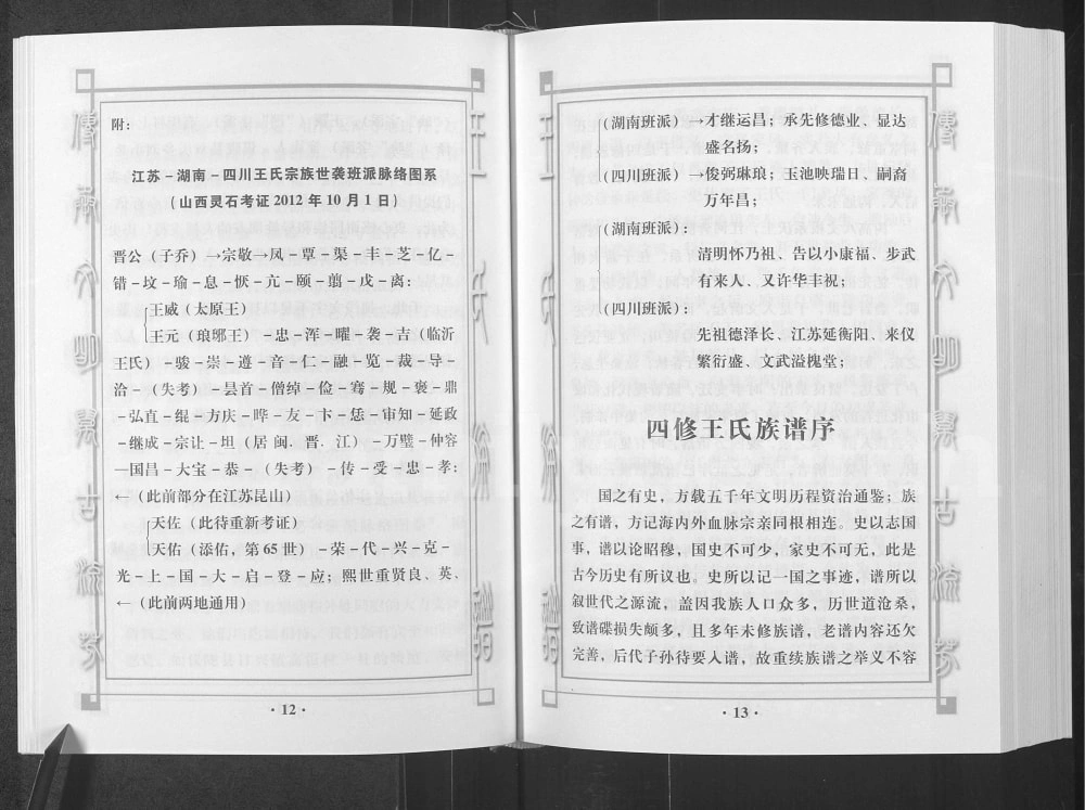 图片[2]-四川南充仪陇县王氏族谱湖南徙川王氏良才公良益公后裔篇电子版PDF下载-中华家谱网