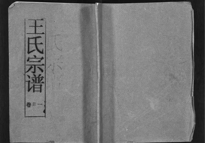 湖北鄂州王氏宗谱(醉经堂)电子版PDF下载-中华家谱网