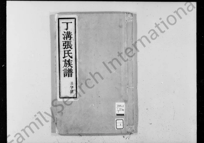 江苏扬州江都区丁沟张氏族谱(百忍堂)电子版PDF下载-中华家谱网