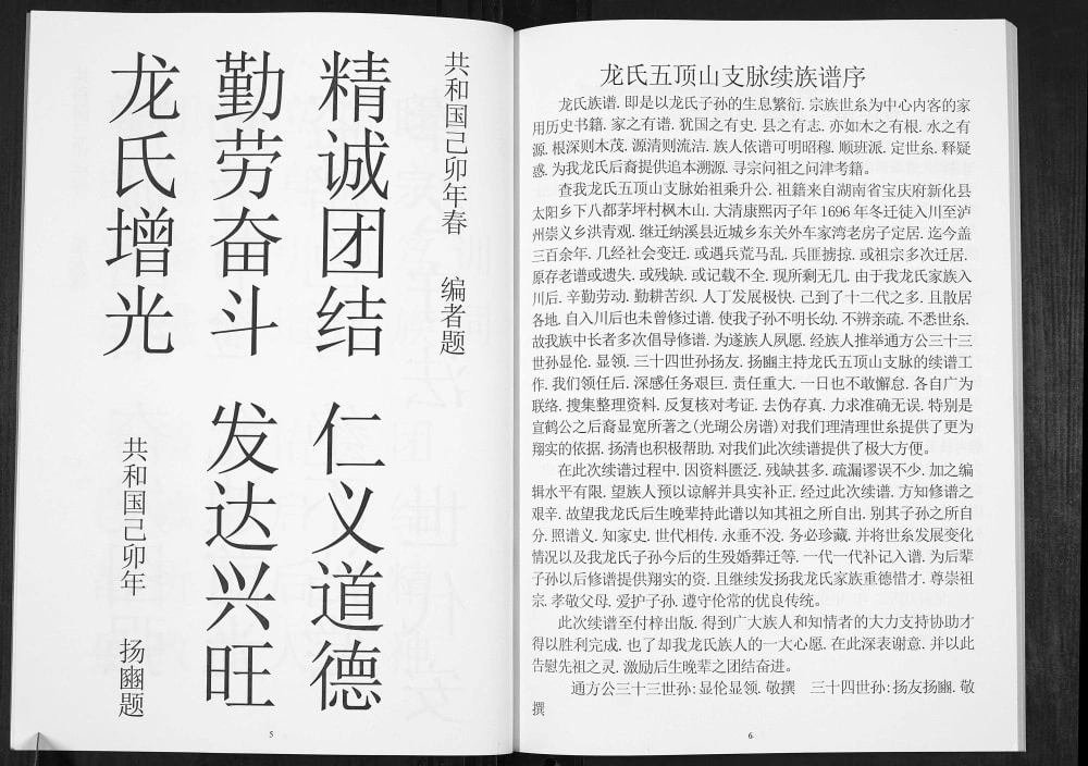 图片[2]-四川泸州纳溪区五顶山支脉龙氏族谱电子版PDF下载-中华家谱网
