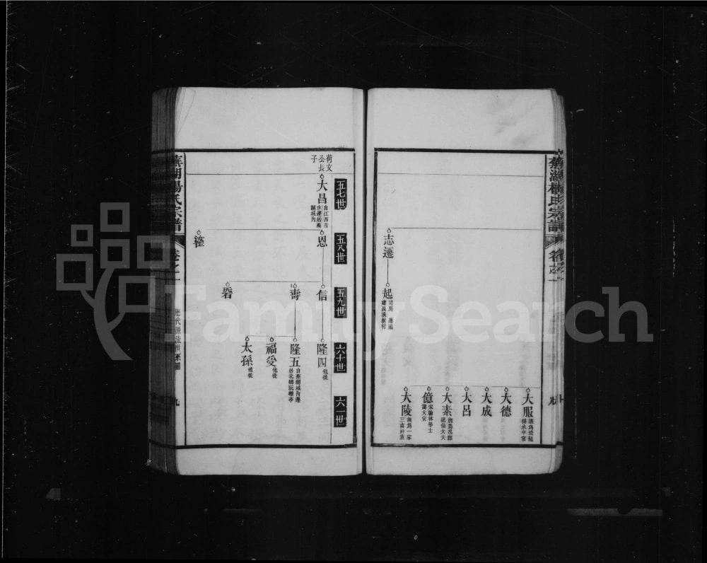 图片[4]-安徽芜湖杨氏宗谱电子版PDF下载-中华家谱网