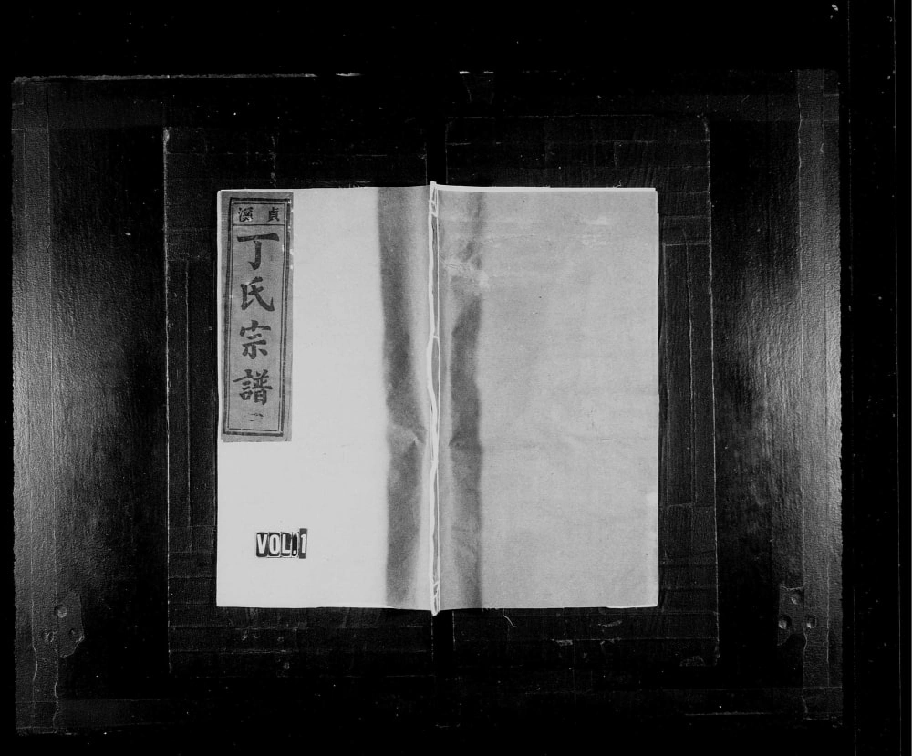 图片[1]-浙江丽水缙云贞溪丁氏宗谱电子版PDF下载-中华家谱网