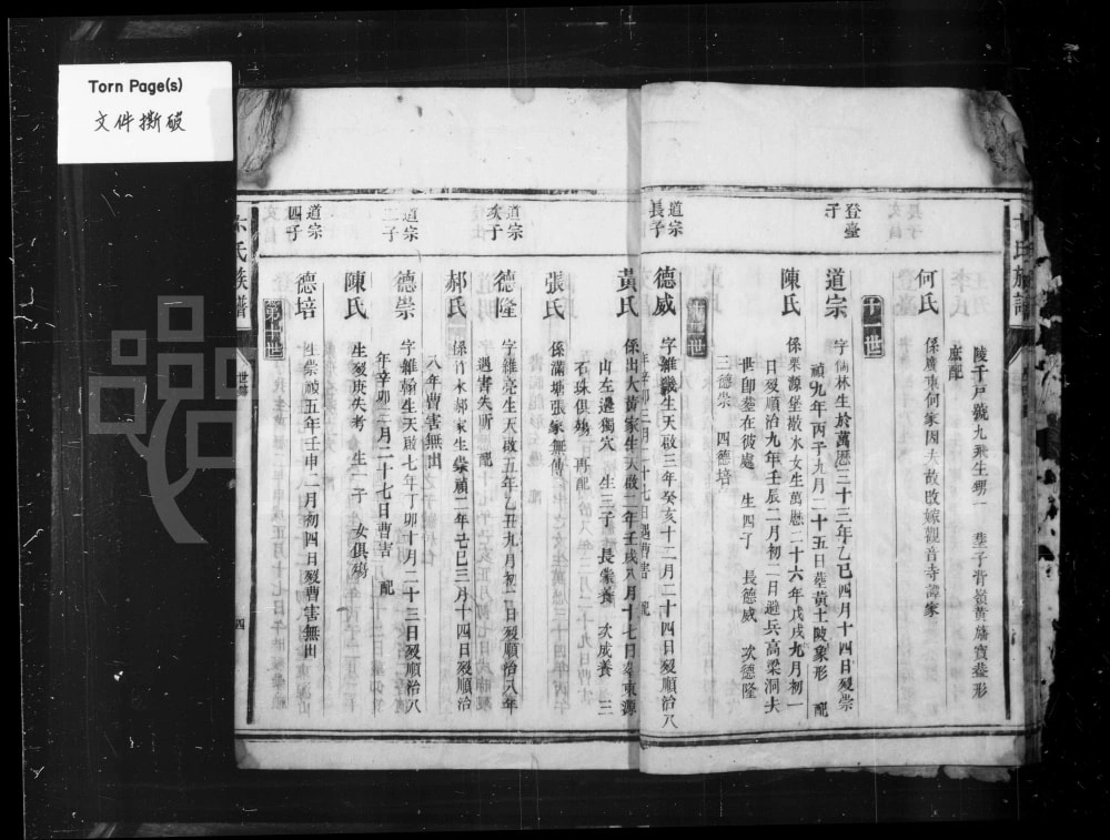 图片[8]-湖南郴州宜章县卞氏族谱电子版PDF下载-中华家谱网