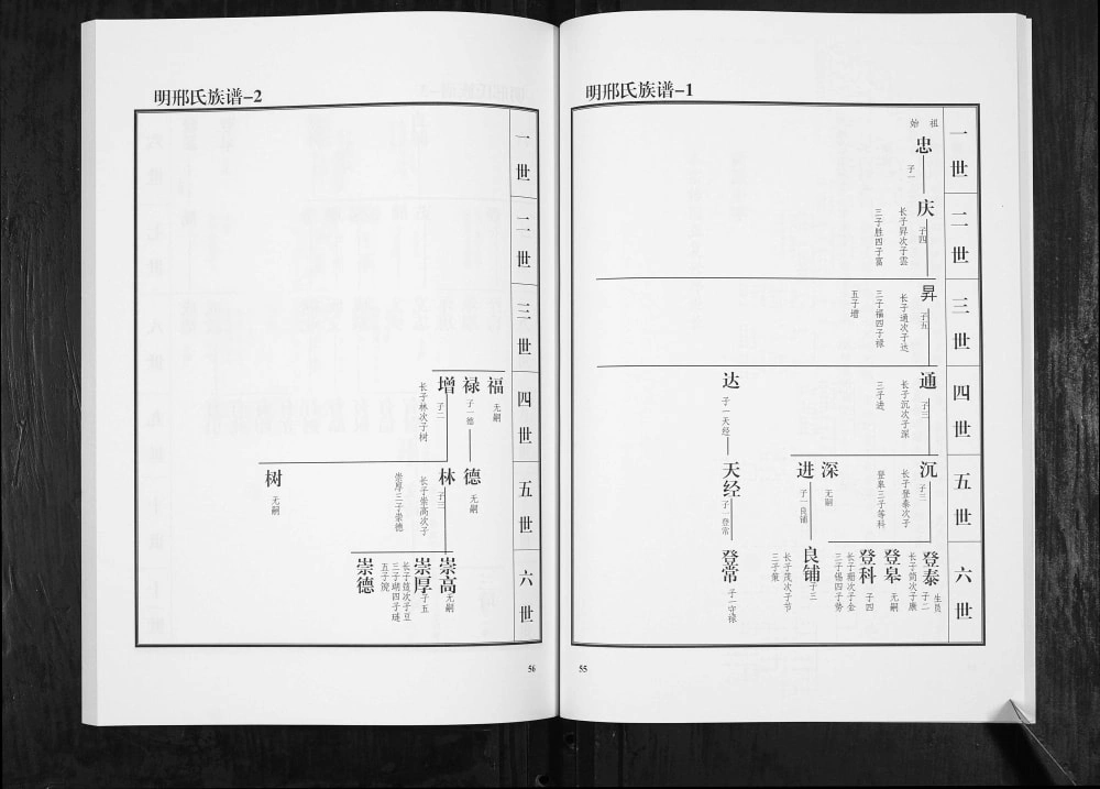 图片[4]-山东青州邢氏族谱电子版PDF下载-中华家谱网