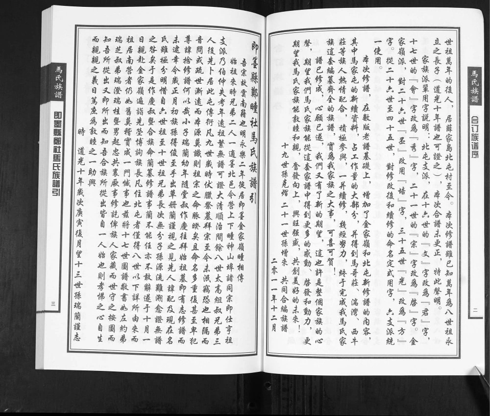 图片[3]-山东青岛马氏族谱电子版PDF下载-中华家谱网