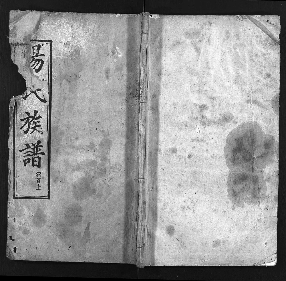 图片[1]-湖北麻城杨氏族谱（青白厅）电子版PDF下载-中华家谱网