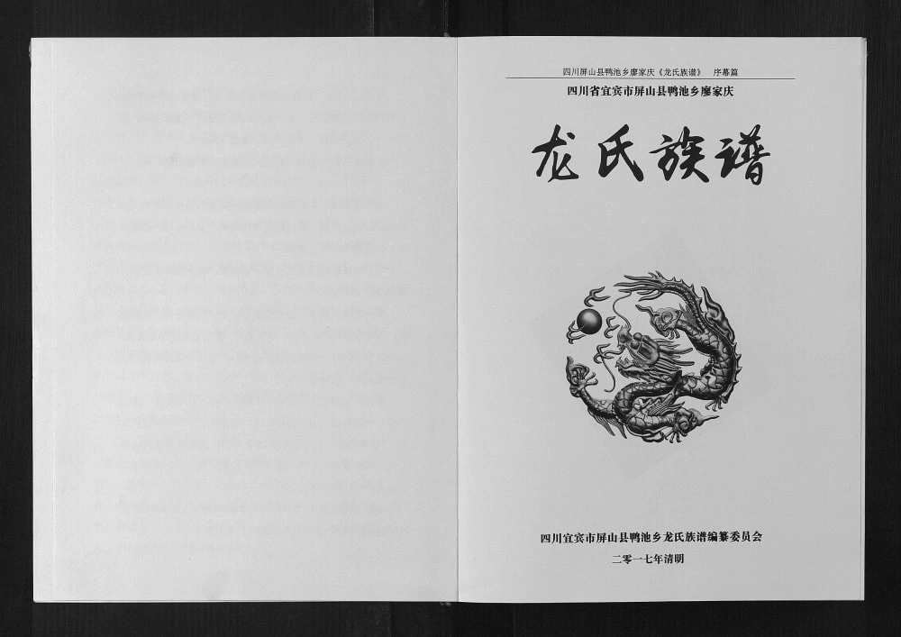 图片[1]-四川宜宾屏山县龙氏族谱电子版PDF下载-中华家谱网