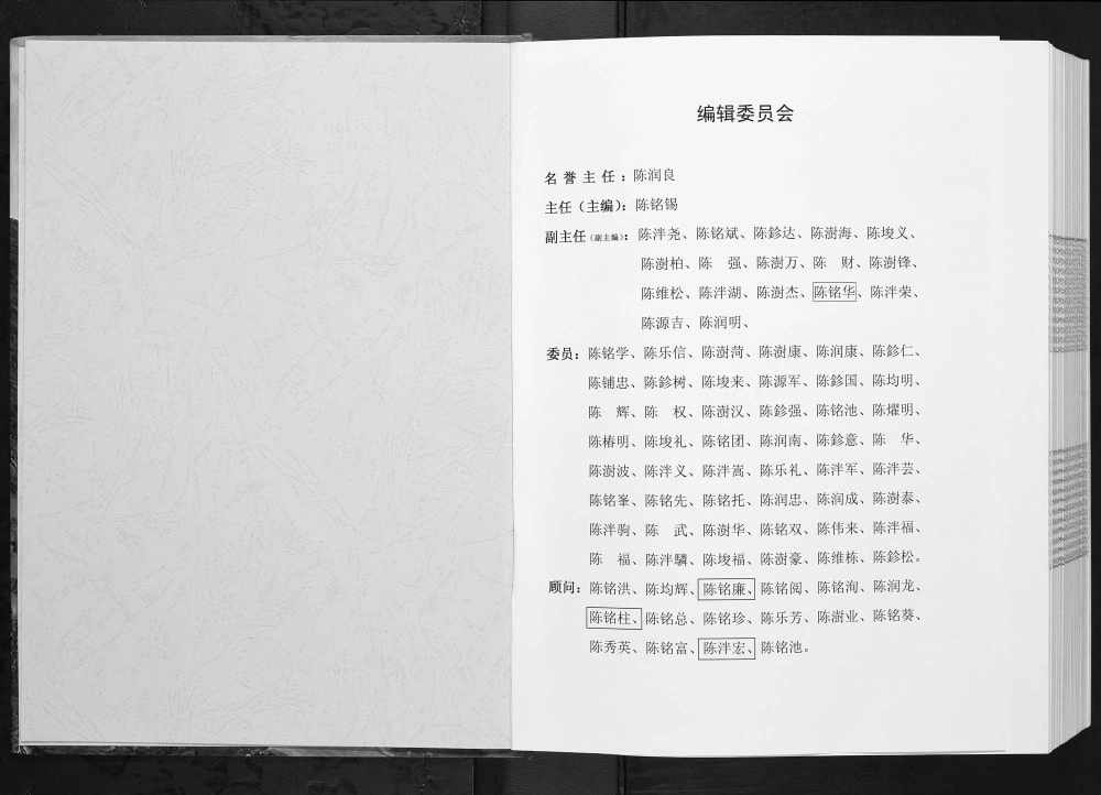 图片[2]-广西北海合浦县豪沃村回眸九塘下村今昔陈氏族谱电子版PDF下载-中华家谱网