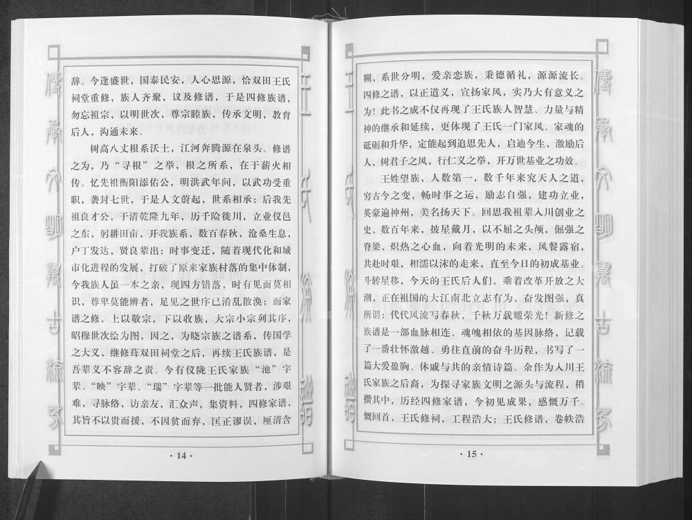 图片[3]-四川南充仪陇县王氏族谱湖南徙川王氏良才公良益公后裔篇电子版PDF下载-中华家谱网