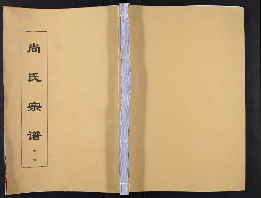 图片[1]-安徽安庆望江县尚氏宗谱（飞熊堂）电子版PDF下载-中华家谱网