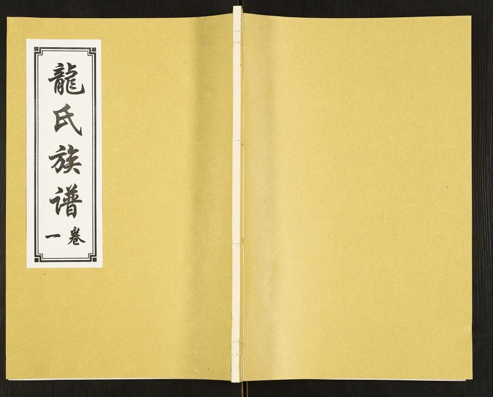 图片[1]-山东济宁汶上县龙氏族谱电子版PDF下载-中华家谱网