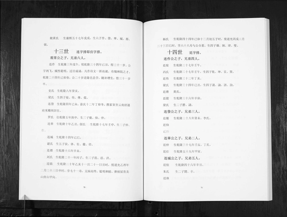 图片[5]-四川隆昌蓝氏家谱电子版PDF下载-中华家谱网