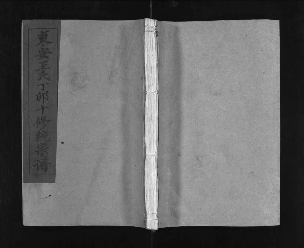 图片[1]-湖北黄冈罗田县东安王氏丁卯十修统宗谱电子版PDF下载-中华家谱网