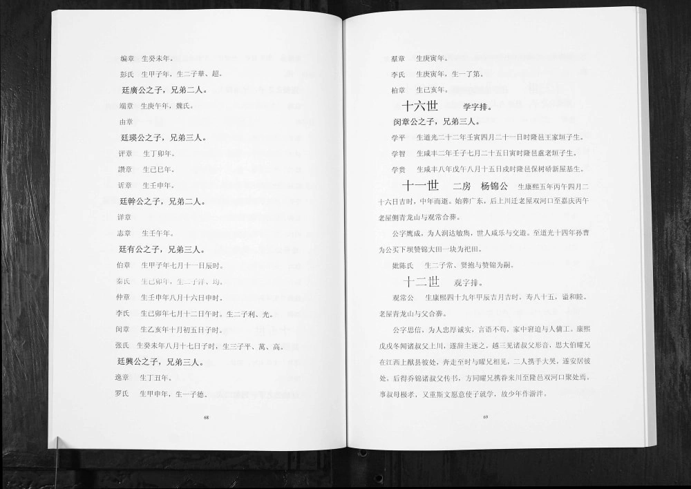 图片[4]-四川隆昌蓝氏家谱电子版PDF下载-中华家谱网