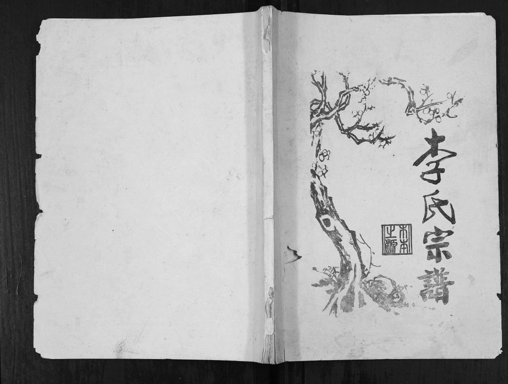 图片[1]-重庆垫江梁平李氏宗谱电子版PDF下载-中华家谱网