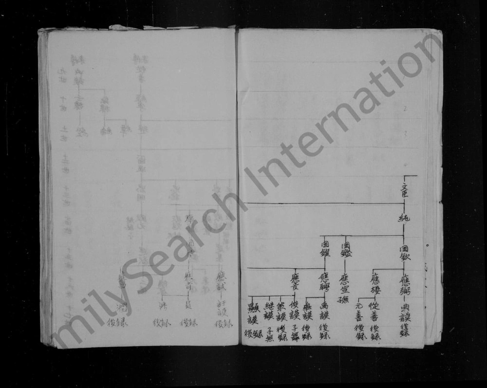 图片[6]-山西晋城阳城县润城张氏家谱电子版PDF下载-中华家谱网