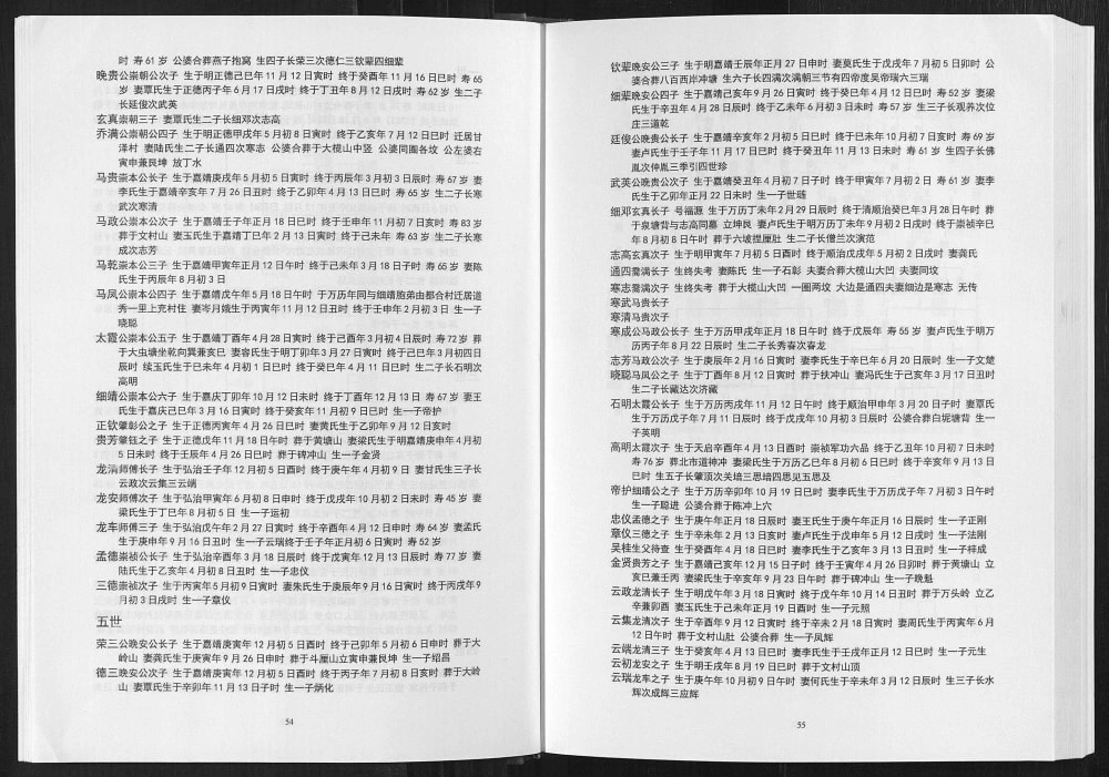 图片[6]-广西桂平吴氏添喜公族谱电子版PDF下载-中华家谱网