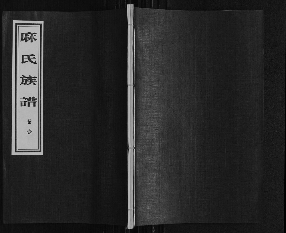 图片[1]-山东临沂沂南县麻氏族谱电子版PDF下载-中华家谱网