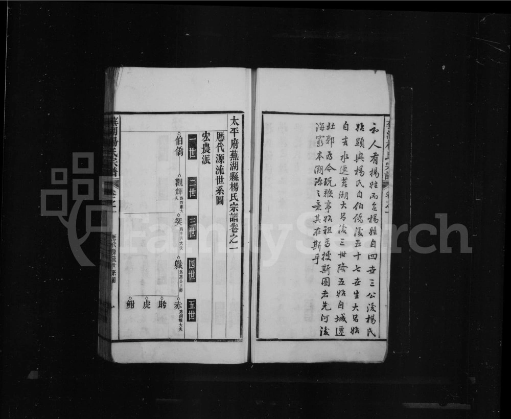 图片[3]-安徽芜湖杨氏宗谱电子版PDF下载-中华家谱网