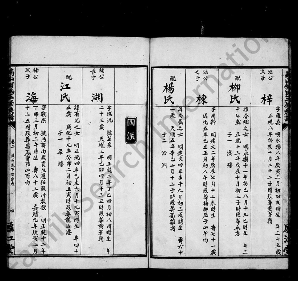 图片[8]-湖南沅江药山何氏三修族谱（庐江堂）电子版PDF下载-中华家谱网