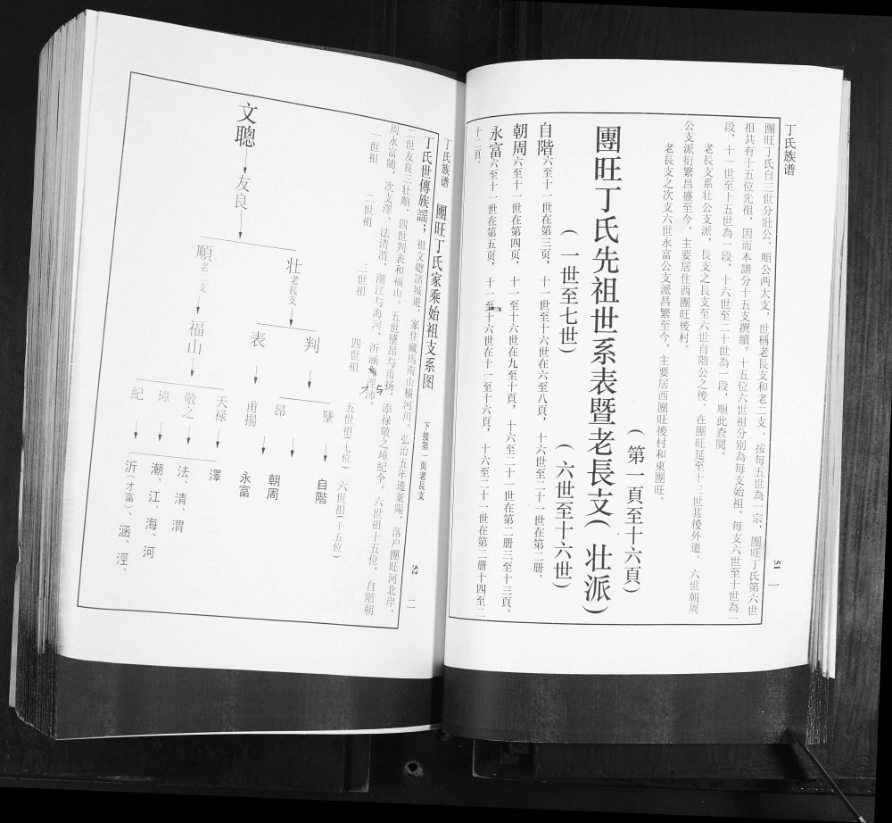 图片[6]-山东莱阳团旺丁氏族谱电子版PDF下载-中华家谱网