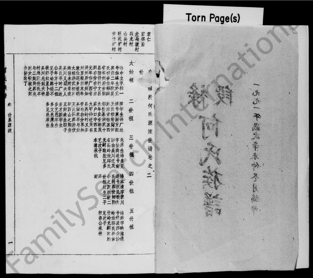 图片[5]-广东茂名电白区禄段何氏族谱电子版PDF下载-中华家谱网
