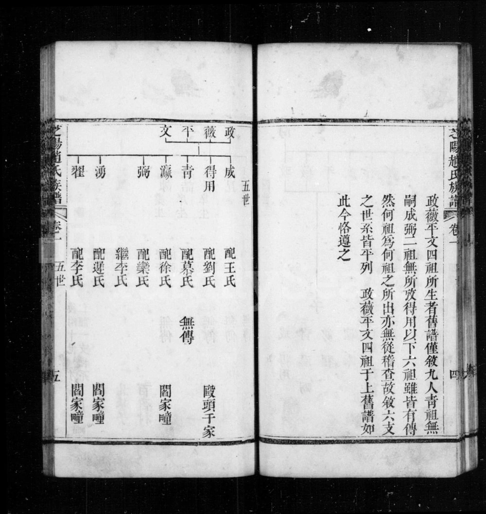图片[8]-山东龙口芝阳赵氏族谱电子版PDF下载-中华家谱网