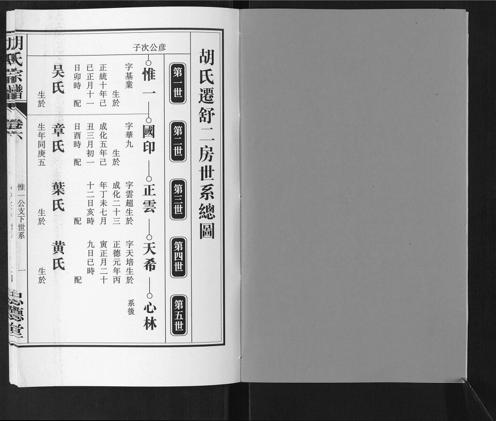 图片[7]-安徽六安舒城县胡氏宗谱（忠德堂）电子版PDF下载-中华家谱网