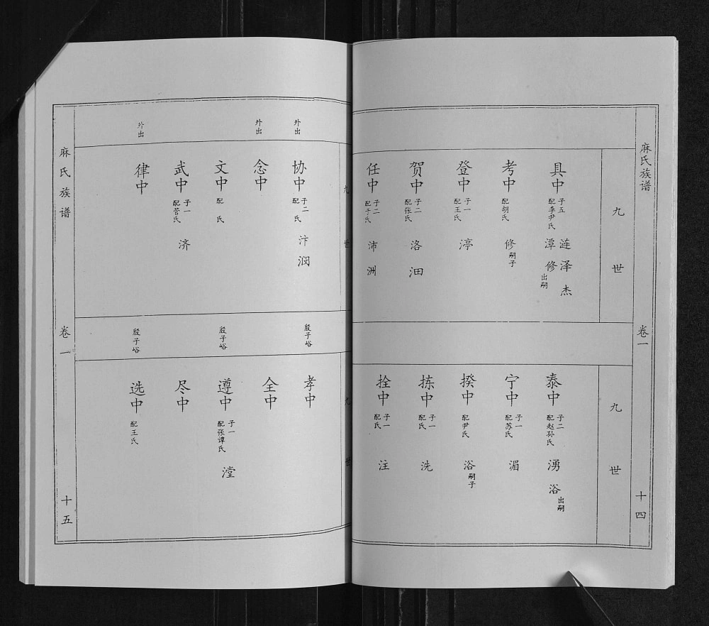 图片[8]-山东临沂沂南县麻氏族谱电子版PDF下载-中华家谱网