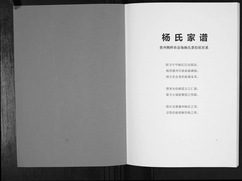 图片[2]-贵州遵义桐梓杨氏景伯祖世系家谱电子版PDF下载-中华家谱网