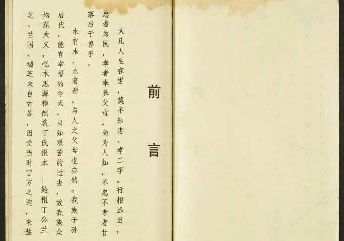 江苏盐城盐东丁家洋马丁氏家谱(济阳堂)电子版PDF下载-中华家谱网