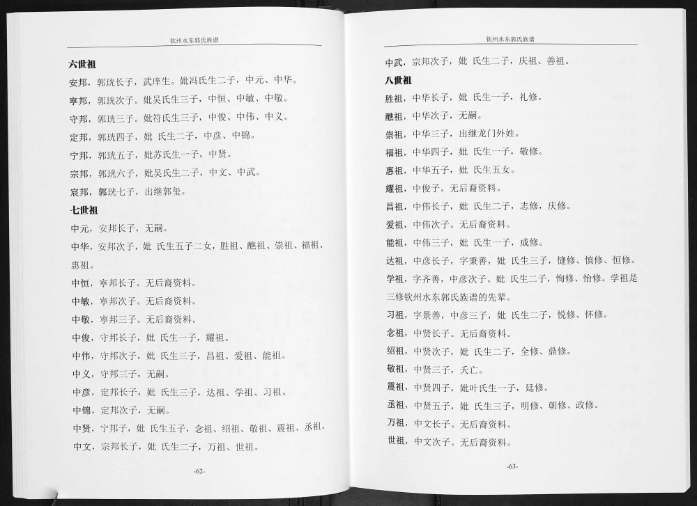 图片[6]-广西钦州水东郭氏族谱（汾阳堂）电子版PDF下载-中华家谱网