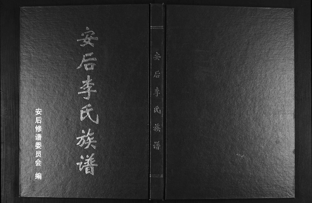 图片[1]-山东临沂莒南县安后李氏族谱电子版PDF下载-中华家谱网
