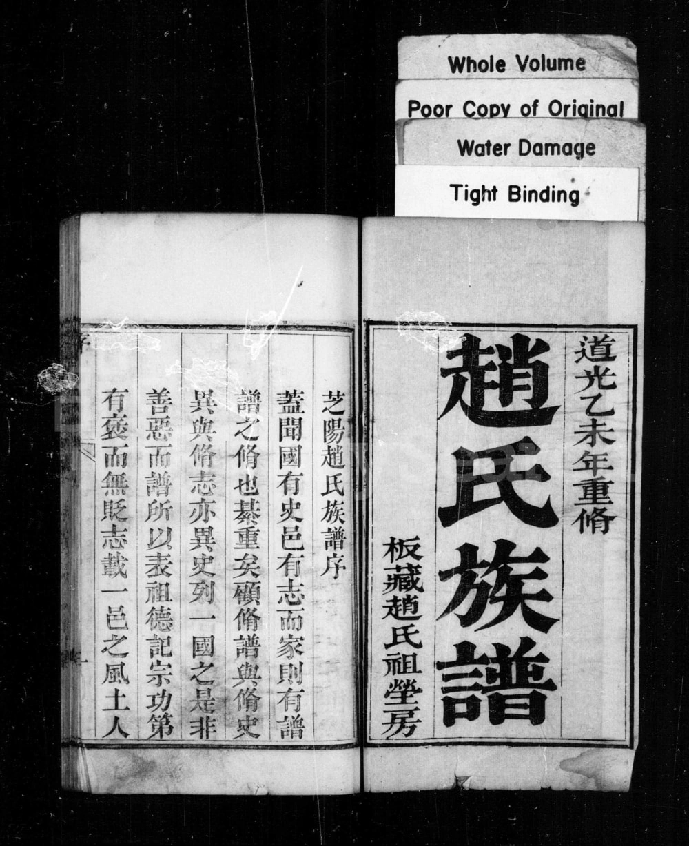 图片[2]-山东龙口芝阳赵氏族谱电子版PDF下载-中华家谱网