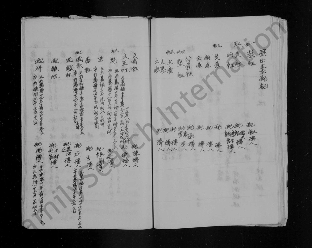 图片[7]-山西晋城阳城县润城张氏家谱电子版PDF下载-中华家谱网