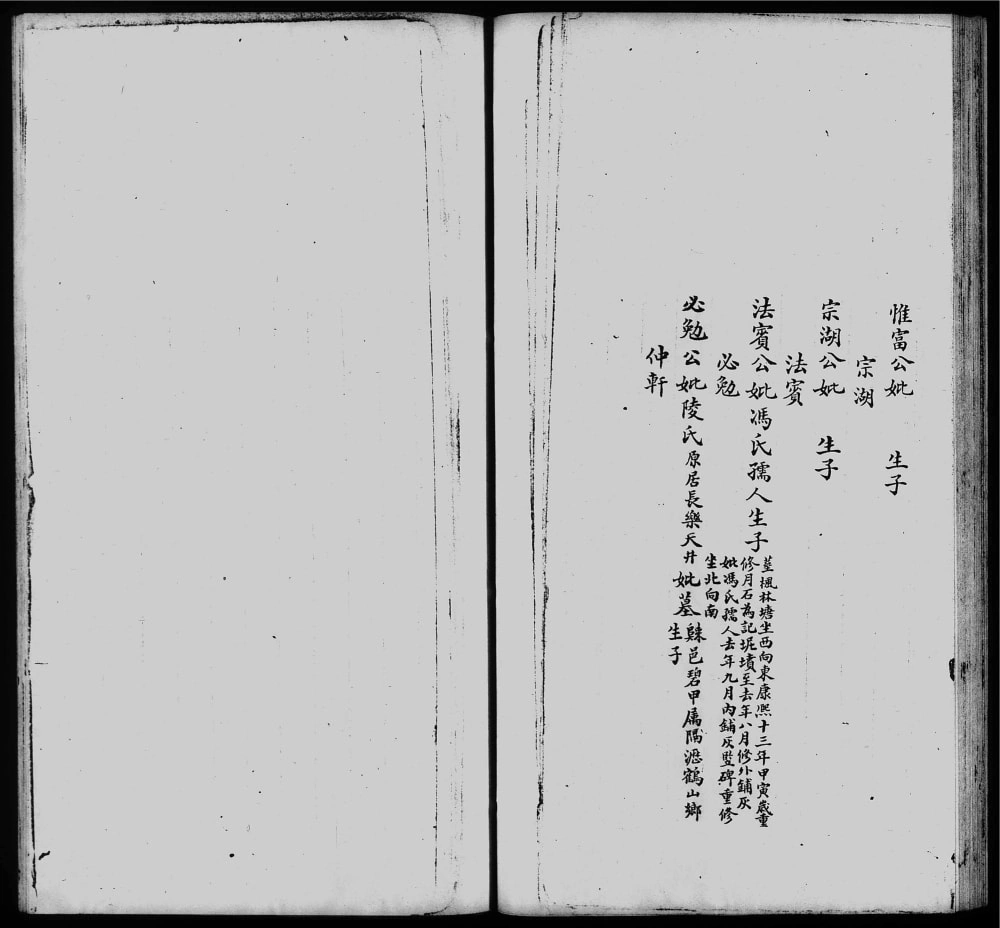 图片[7]-广东广州番禺区赖氏族谱电子版PDF下载-中华家谱网