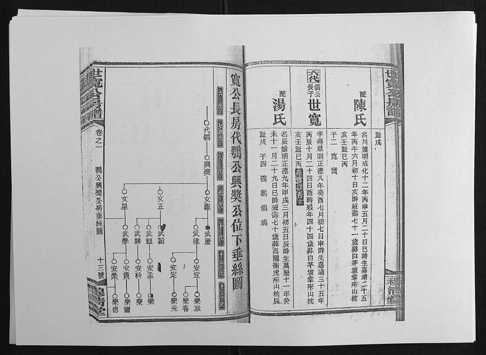 图片[8]-湖南邵阳邵东县洞霞尹氏宽公房谱（穆清堂）电子版PDF下载-中华家谱网