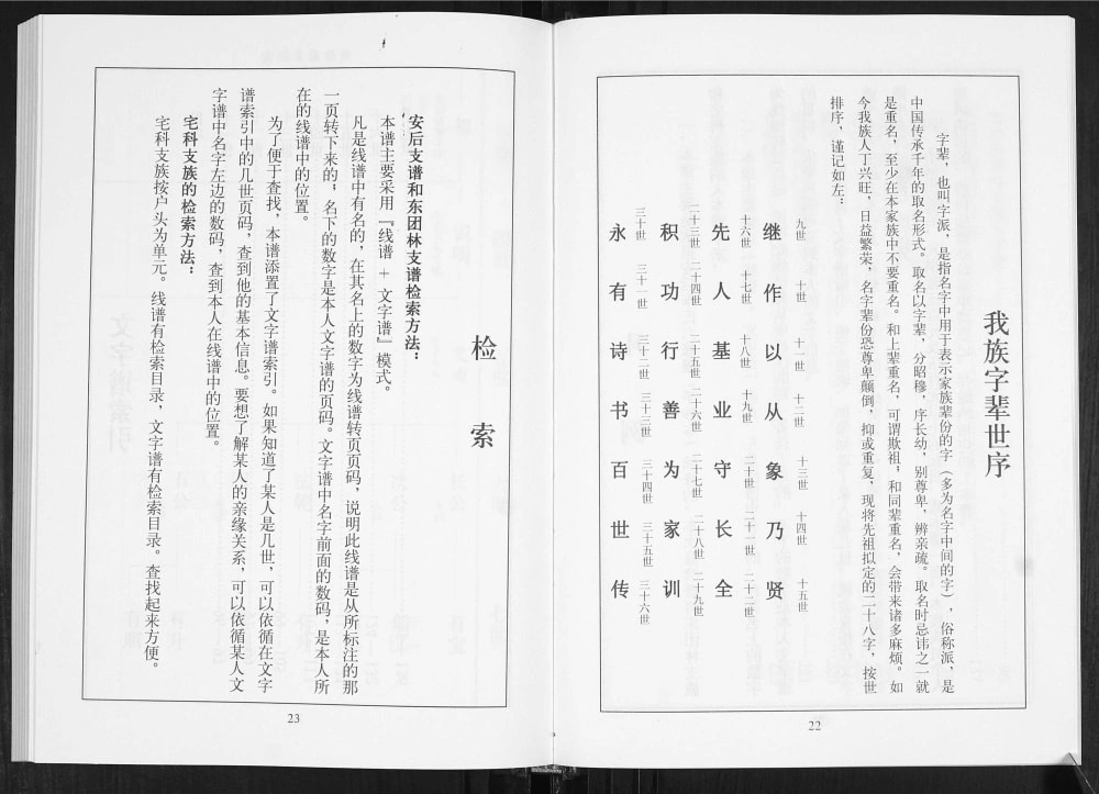 图片[4]-山东临沂莒南县安后李氏族谱电子版PDF下载-中华家谱网